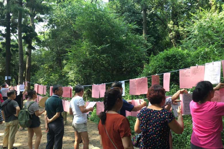 Visita guiada por Chengdú