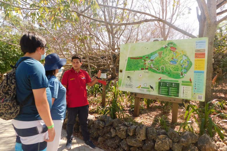 Excursión al Aviario Nacional de Colombia + Playa Blanca