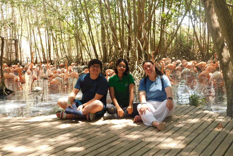 Excursión al Aviario Nacional de Colombia + Playa Blanca