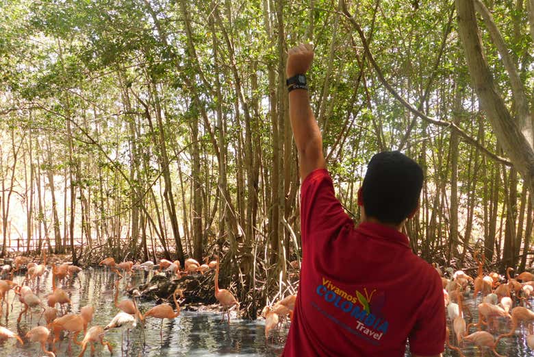 Excursión al Aviario Nacional de Colombia + Playa Blanca
