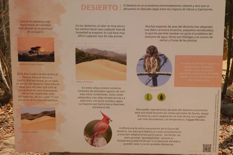 Excursión al Aviario Nacional de Colombia + Playa Blanca