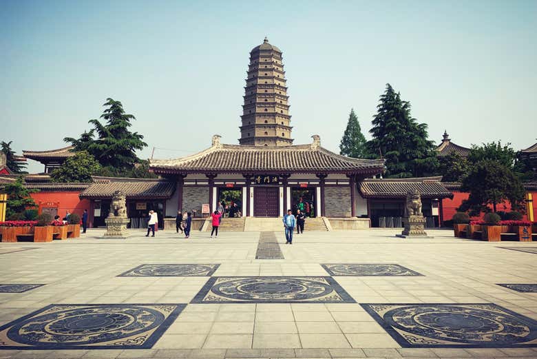 Excursión privada al Templo Famen y Mausoleo de Qianling