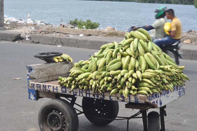 Tour por el Mercado Bazurto