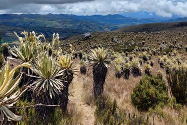 Excursin al Pramo de Sumapaz