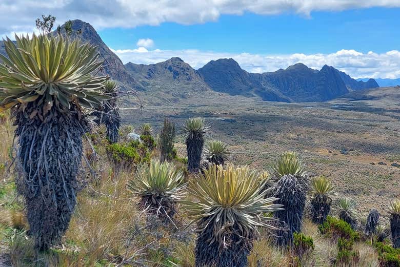 Excursión al Páramo de Sumapaz