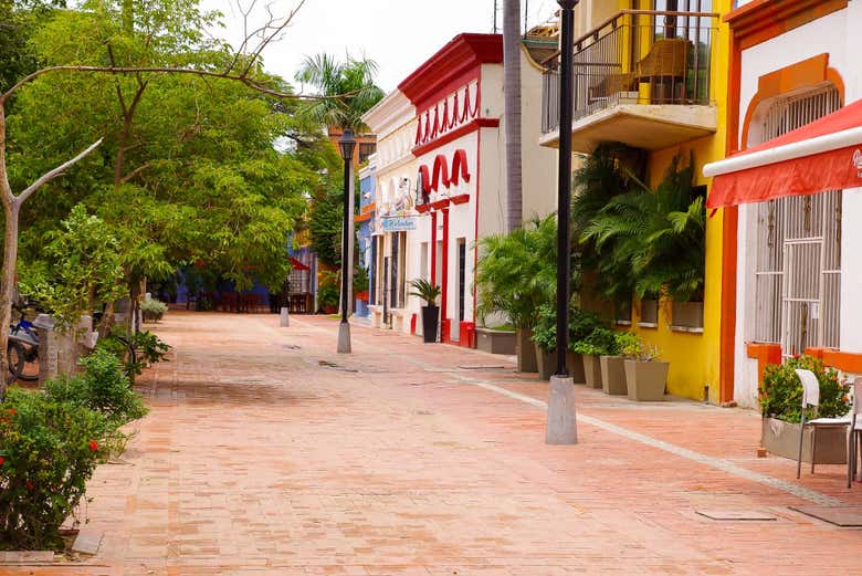 Tour panorámico por Santa Marta