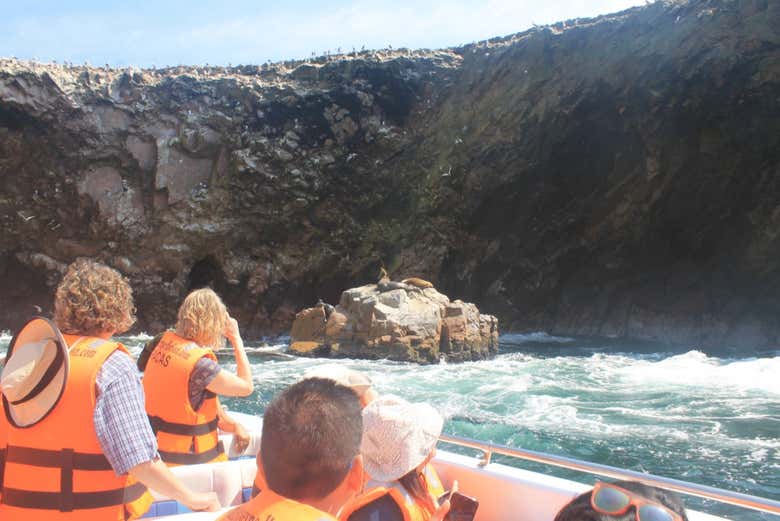 Excursión a Ica y Huacachina + Islas Ballestas