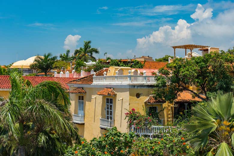 Tour privado por Pereira