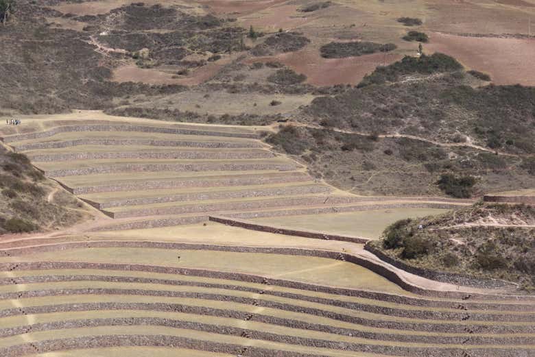 Excursión a Moray y las salineras de Maras