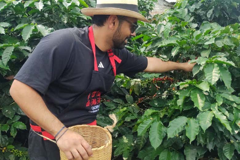 Visita a la finca cafetera El Edén