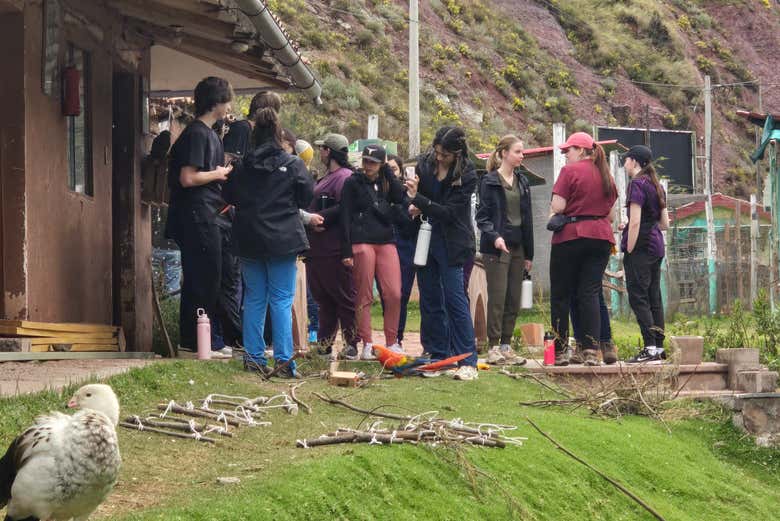 Excursión al Santuario Animal de Cochahuasi