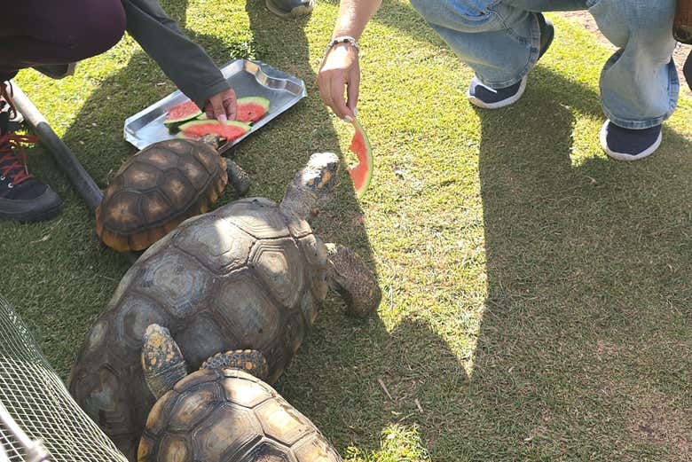 Excursión al Santuario Animal de Cochahuasi