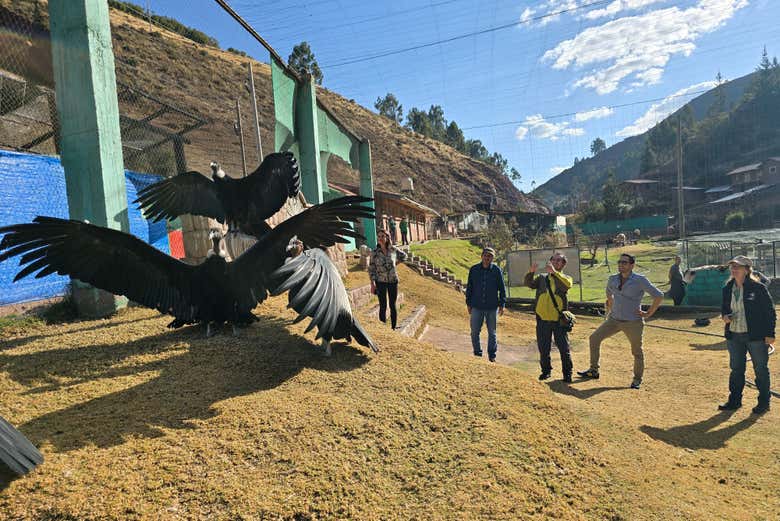 Excursión al Santuario Animal de Cochahuasi