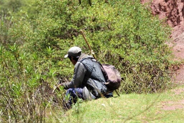 Trekking por Inkilltambo
