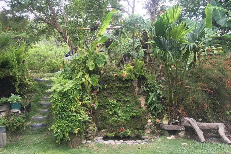 Excursión a Nocaima y La Vega + Visita a la finca de panela El Bambú