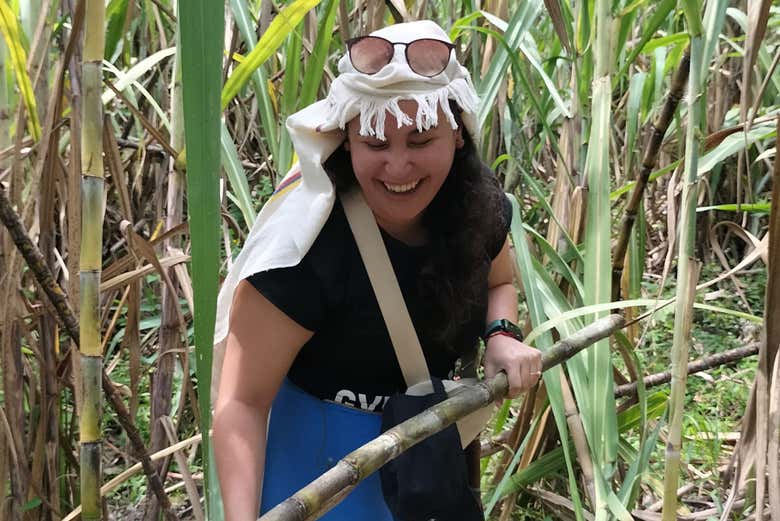 Excursión a Nocaima y La Vega + Visita a la finca de panela El Bambú