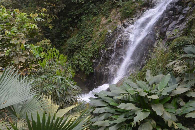 Excursión a las cascadas de Marinka + Sierra Minca
