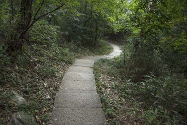 Excursin al Parque Natural Chicaque