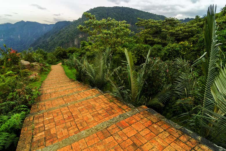 Excursión al Parque Natural Chicaque