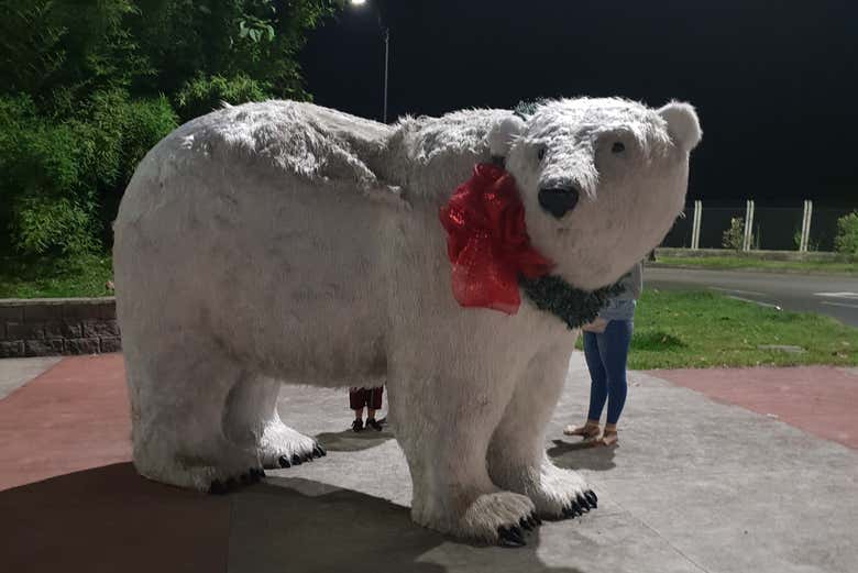 Tour navideño por Pereira
