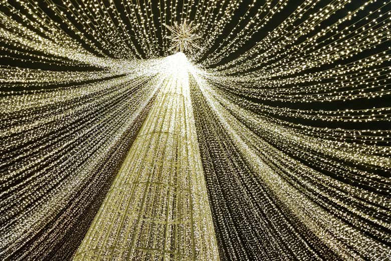 Tour navideño por Pereira