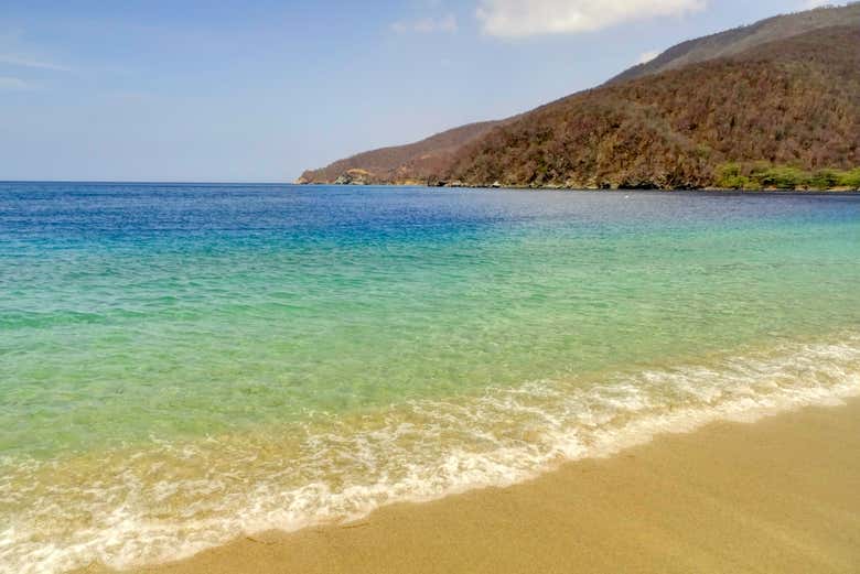 Excursión a Bahía Concha