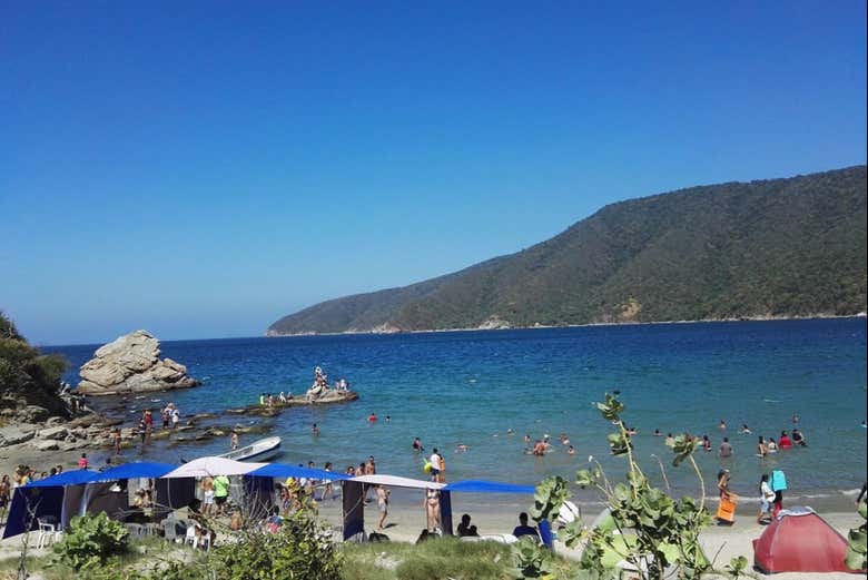 Excursión a Bahía Concha