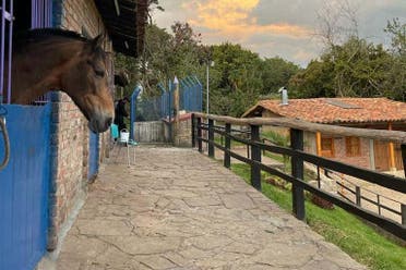 Excursin privada al establo Criadero Lusitania