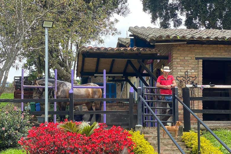 Excursión privada al establo Criadero Lusitania