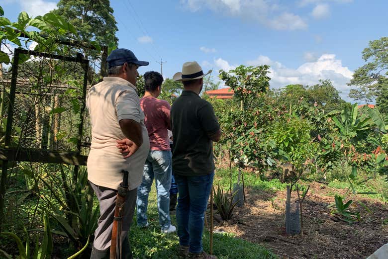 Visita a la finca de cacao El Turpial Feliz