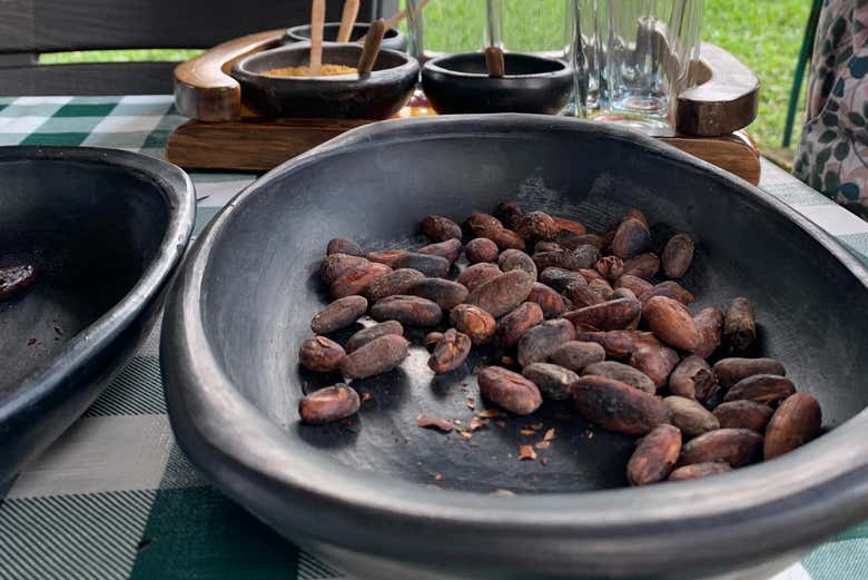Visita a la finca de cacao El Turpial Feliz