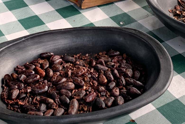 Visita a la finca de cacao El Turpial Feliz