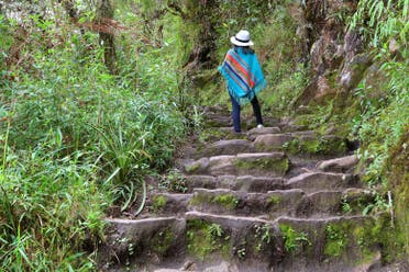 Excursin a Machu Picchu + Montaa Huayna Picchu