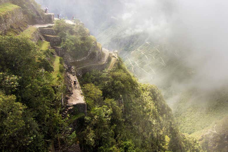 Excursión a Machu Picchu + Montaña Huayna Picchu