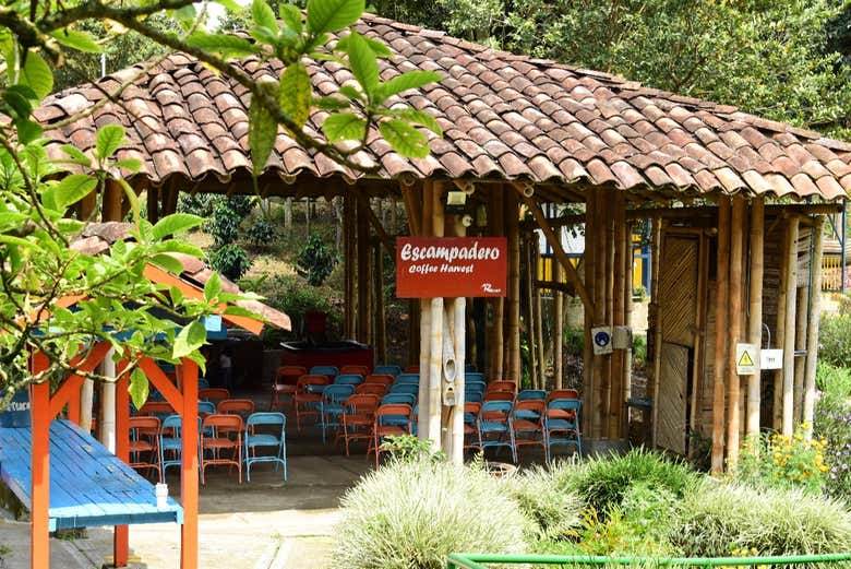 Excursión a la Finca Recuca