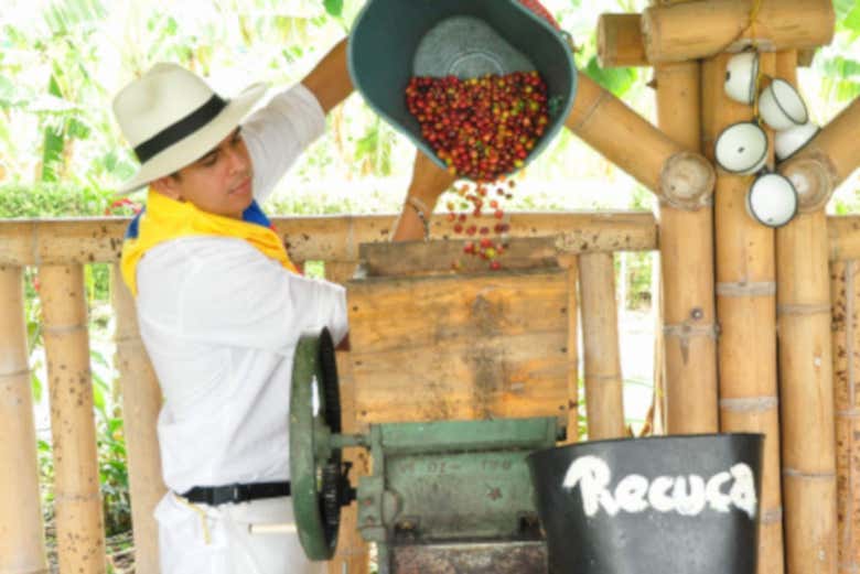 Excursión a la Finca Recuca