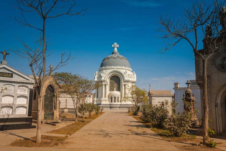 Free tour por el barrio chino y Presbítero Maestro