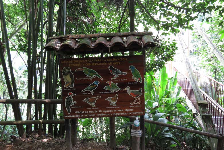 Excursión al Jardín Botánico del Quindío