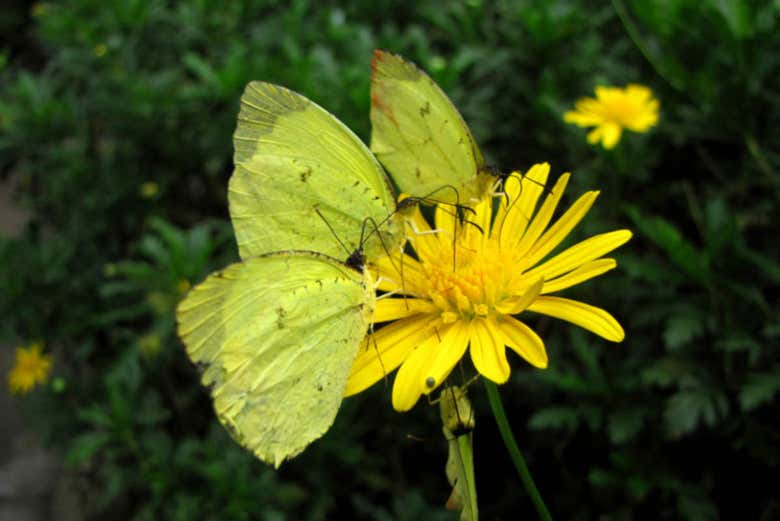 Excursión al Jardín Botánico del Quindío