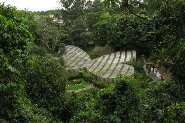 Excursión al Jardín Botánico del Quindío