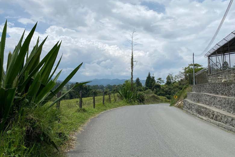 Excursión a la cascada Don Lolo