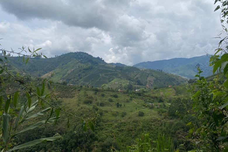 Excursión a la cascada Don Lolo
