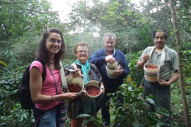 Tour privado del café por Huayopata