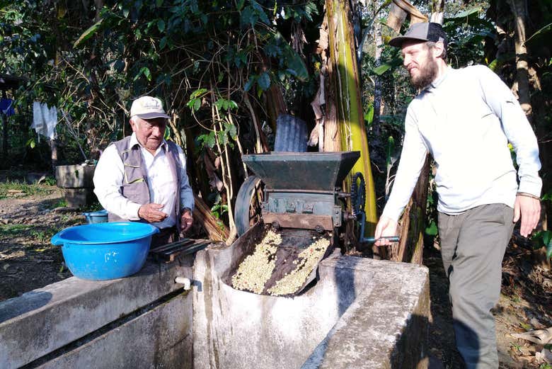 Tour privado del café por Huayopata