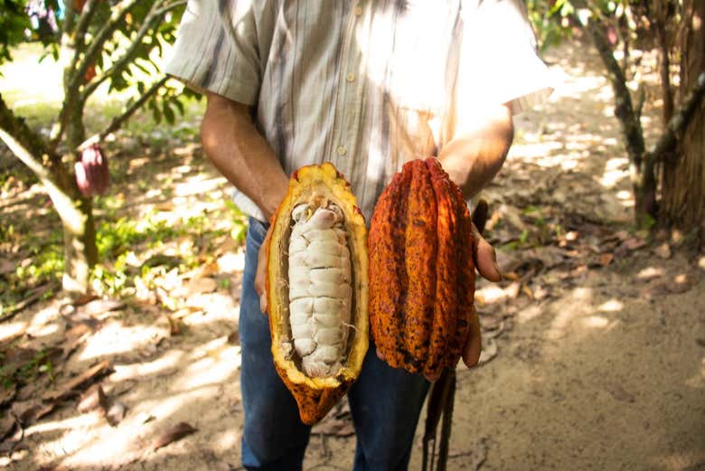 Excursión privada desde Santa Marta