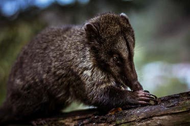 Excursin al Bioparque La Reserva