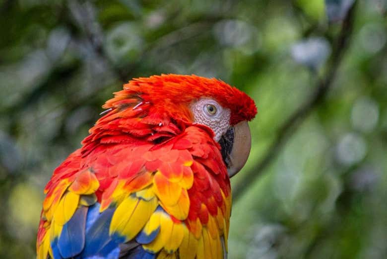 Excursión al Bioparque La Reserva