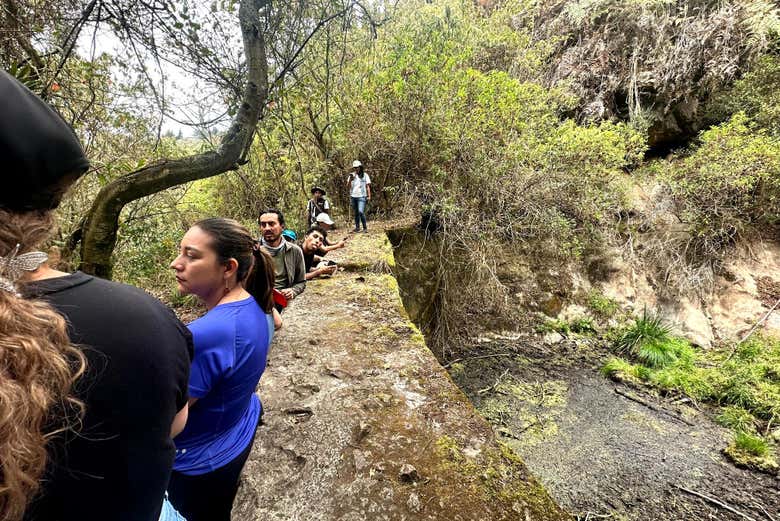 Excursión al Bioparque La Reserva