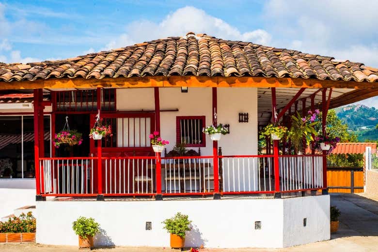 Tour de las orquídeas