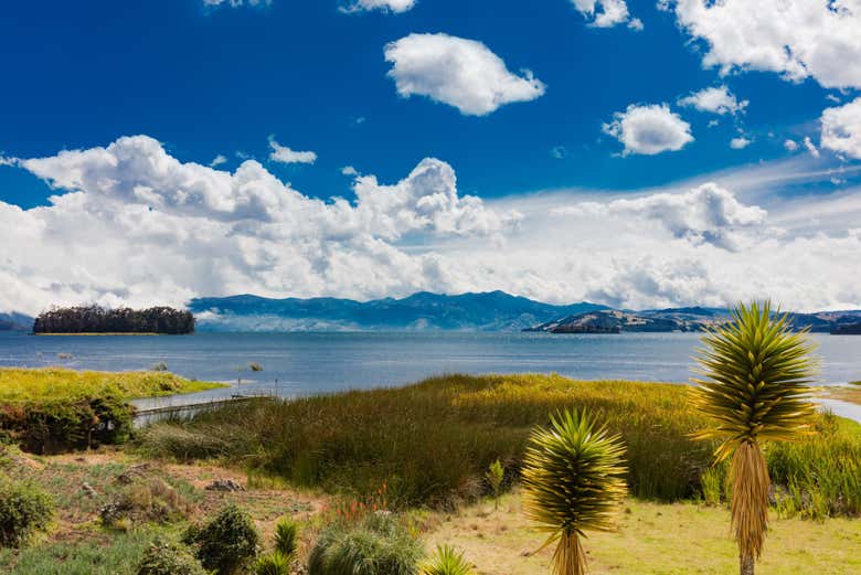 Excursión a la laguna de Tota